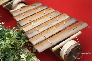Alat Musik Tradisional Dari Lampung