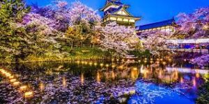 Seni Karya Terbaru yang Menginspirasi Dari Negeri Sakura